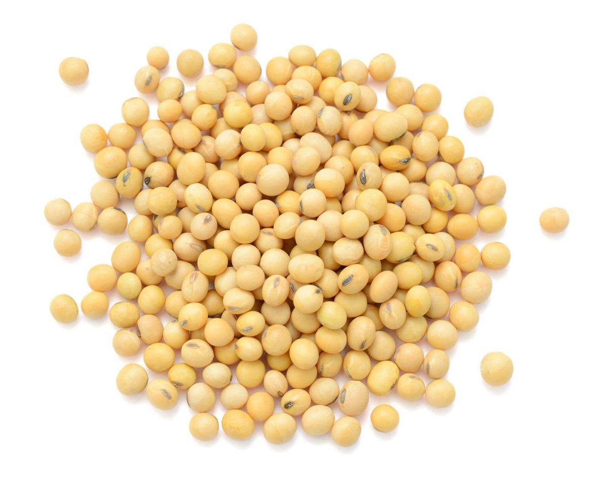BULK SOYBEANS,OG1 MEDIA LB Orgánico